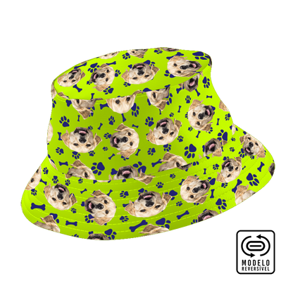 Panamá Cães