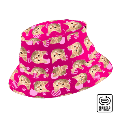 Panama Cats