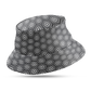 hexagone
